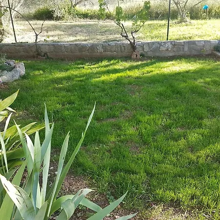 Apartament By The Sea Tkon, Pasman - 12394